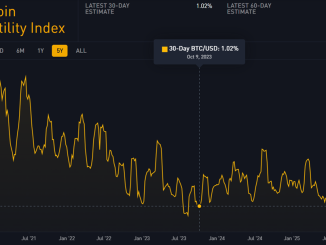 Bitcoin Volatility Index