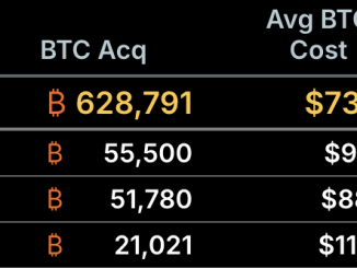 Strategy Bitcoin Purchases Ranked