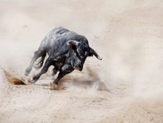 crypto