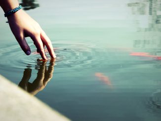 Ripple