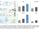 Agent0: A Fully Autonomous AI Framework that Evolves High-Performing Agents without External Data through Multi-Step Co-Evolution
