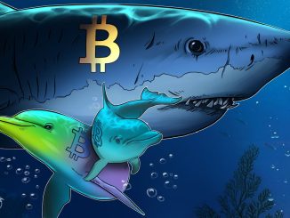 Bitcoin Sharks Accumulate at Fastest Pace Since 2012 as BTC Slides