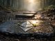 Can Ethereum 2026 roadmap help its price recover?