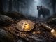 Institutions call it a bear market but still say Bitcoin is undervalued