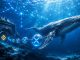 XRP’s bullish signals are building, but price action has yet to follow
